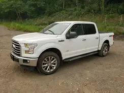 1FTEW1EG0HFC87316 2017 FORD F-150