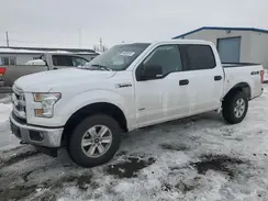 1FTEW1EG0HKC19556 2017 FORD F-150