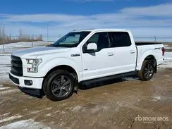 1FTEW1EG0HKD03988 2017 FORD F-150