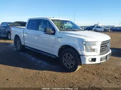 1FTEW1EG1GFA00516 2016 FORD F-150