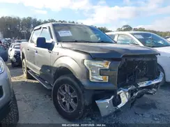 1FTEW1EG1GFA09751 2016 FORD F-150