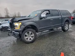 1FTEW1EG1GFC59118 2016 FORD F-150