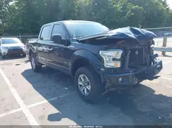 1FTEW1EG1GFD10388 2016 FORD F-150
