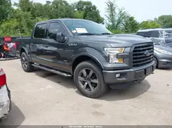 1FTEW1EG1GFD35615 2016 FORD F-150