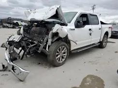 1FTEW1EG1GKE69631 2016 FORD F-150
