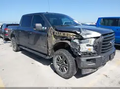 1FTEW1EG1HFA97315 2017 FORD F-150