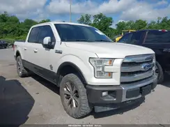 1FTEW1EG1HFB39224 2017 FORD F-150