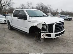 1FTEW1EG1HFB80890 2017 FORD F-150