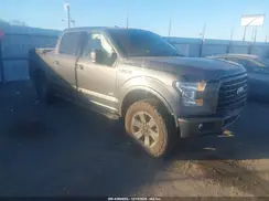 1FTEW1EG1HFC41395 2017 FORD F-150