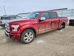 1FTEW1EG1HFC89981 2017 FORD F-150