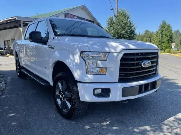 1FTEW1EG1HKD13736 2017 FORD F-150 - Image 1