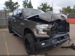 1FTEW1EG1HKE16753 2017 FORD F-150