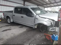 1FTEW1EG2GFA21794 2016 FORD F-150