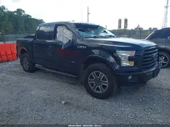 1FTEW1EG2GFA40667 2016 FORD F-150