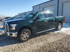1FTEW1EG2GFB10491 2016 FORD F-150