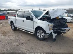 1FTEW1EG2GFC19310 2016 FORD F-150