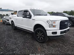1FTEW1EG2GFD10299 2016 FORD F-150