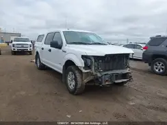 1FTEW1EG2GFD42704 2016 FORD F-150