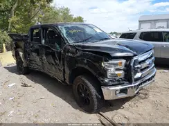 1FTEW1EG2GKE64387 2016 FORD F-150