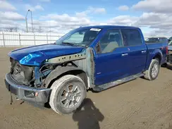 1FTEW1EG2HFB14414 2017 FORD F-150