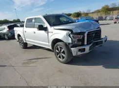1FTEW1EG2HFB84060 2017 FORD F-150