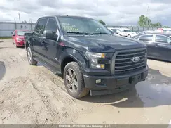 1FTEW1EG2HFC08390 2017 FORD F-150