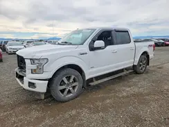 1FTEW1EG2HFC15212 2017 FORD F-150