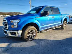 1FTEW1EG3GFA67019 2016 FORD F-150