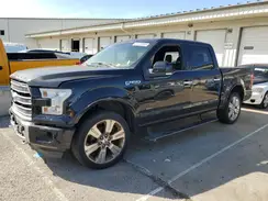 1FTEW1EG3GFB15036 2016 FORD F-150