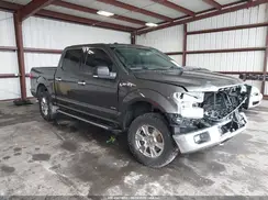 1FTEW1EG3GFB24447 2016 FORD F-150