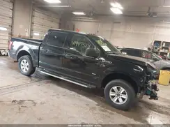 1FTEW1EG3GFB29227 2016 FORD F-150
