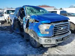 1FTEW1EG3GFB43046 2016 FORD F-150
