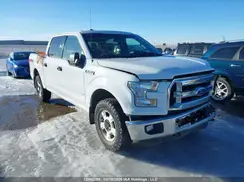 1FTEW1EG3GFC85610 2016 FORD F-150
