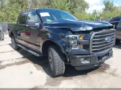 1FTEW1EG3GFD41299 2016 FORD F-150
