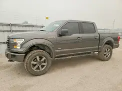 1FTEW1EG3GFD46244 2016 FORD F-150