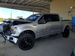 1FTEW1EG3HFB30363 2017 FORD F-150