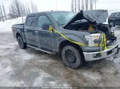 1FTEW1EG3HFC71739 2017 FORD F-150