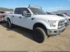 1FTEW1EG4GFA22896 2016 FORD F-150