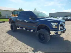1FTEW1EG4GFA96416 2016 FORD F-150