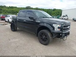 1FTEW1EG4GFB13828 2016 FORD F-150
