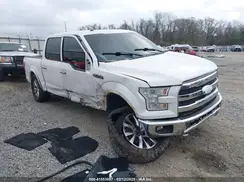 1FTEW1EG4GFB64827 2016 FORD F-150