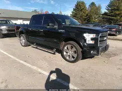 1FTEW1EG4GFC33029 2016 FORD F-150