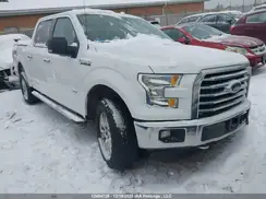1FTEW1EG4GFC48565 2016 FORD F-150
