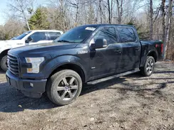 1FTEW1EG4GFD01880 2016 FORD F-150