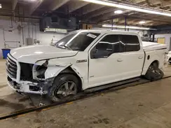 1FTEW1EG4GFD36287 2016 FORD F-150