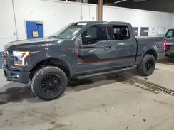 1FTEW1EG4GFD39254 2016 FORD F-150