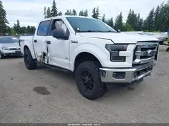 1FTEW1EG4GKD01532 2016 FORD F-150