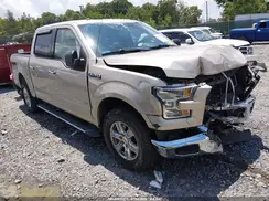 1FTEW1EG4HFB07920 2017 FORD F-150