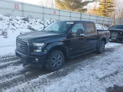 1FTEW1EG4HFB21011 2017 FORD F-150