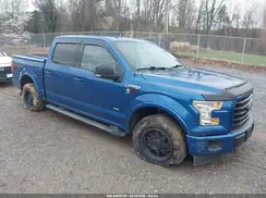 1FTEW1EG4HFB75831 2017 FORD F-150